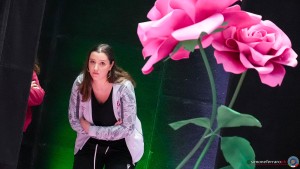 pontevecchio bologna sfe09455 copia simone ferraro ph copia